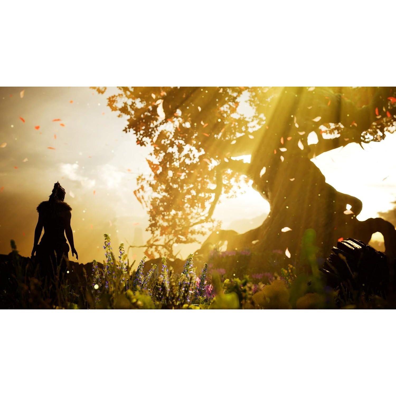 Buy PlayStation,Hellblade: Senua's Sacrifice (PS4) - Gadcet UK | UK | London | Scotland | Wales| Near Me | Cheap | Pay In 3 | Video Game Software